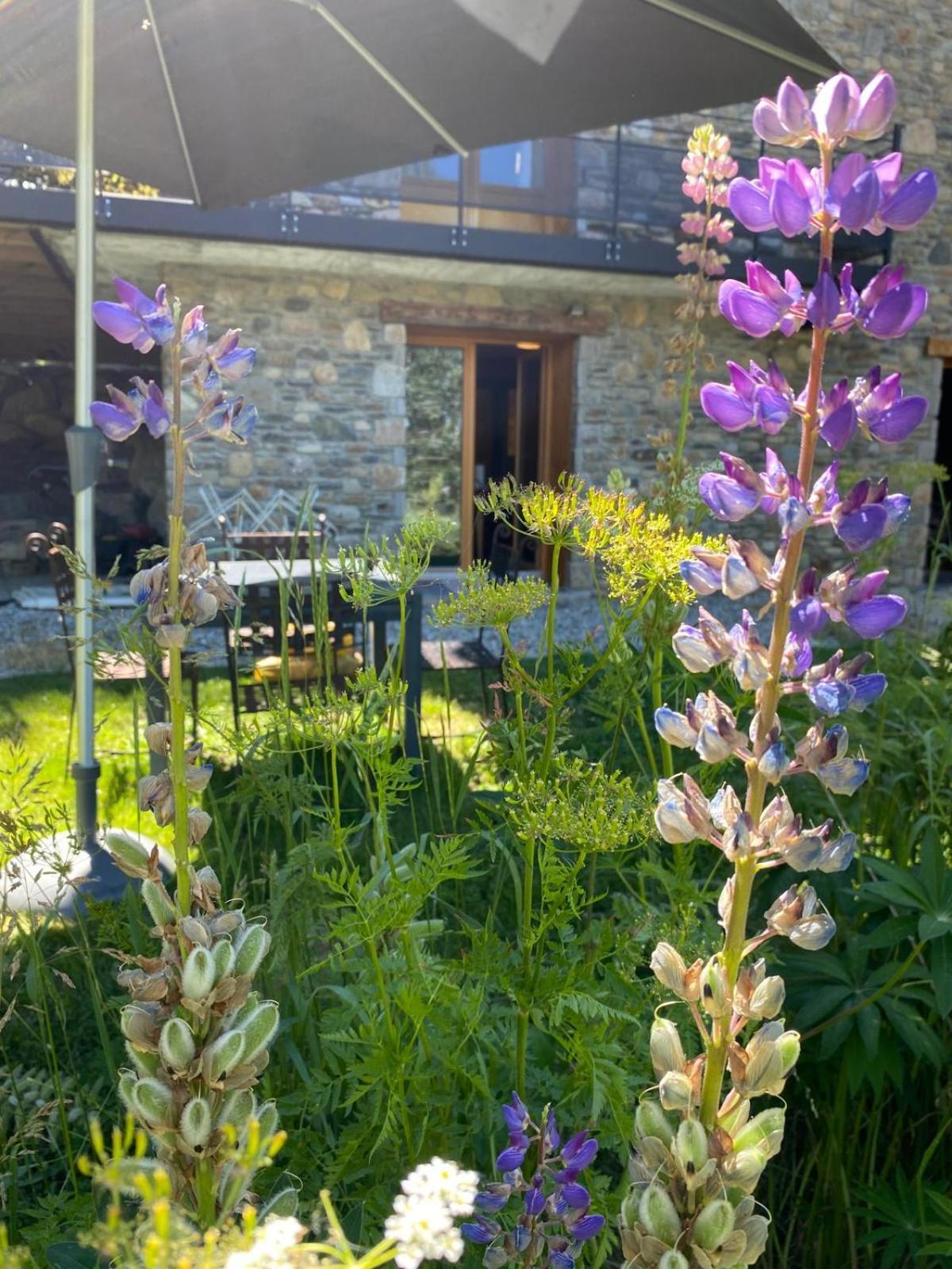 Apartment Le Lodge, Pyrenees 2000 - Jardin, Tres Calme, Espace Rangement *